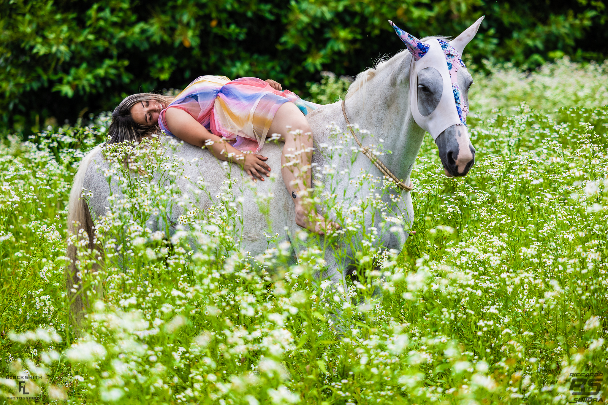 RS 107646